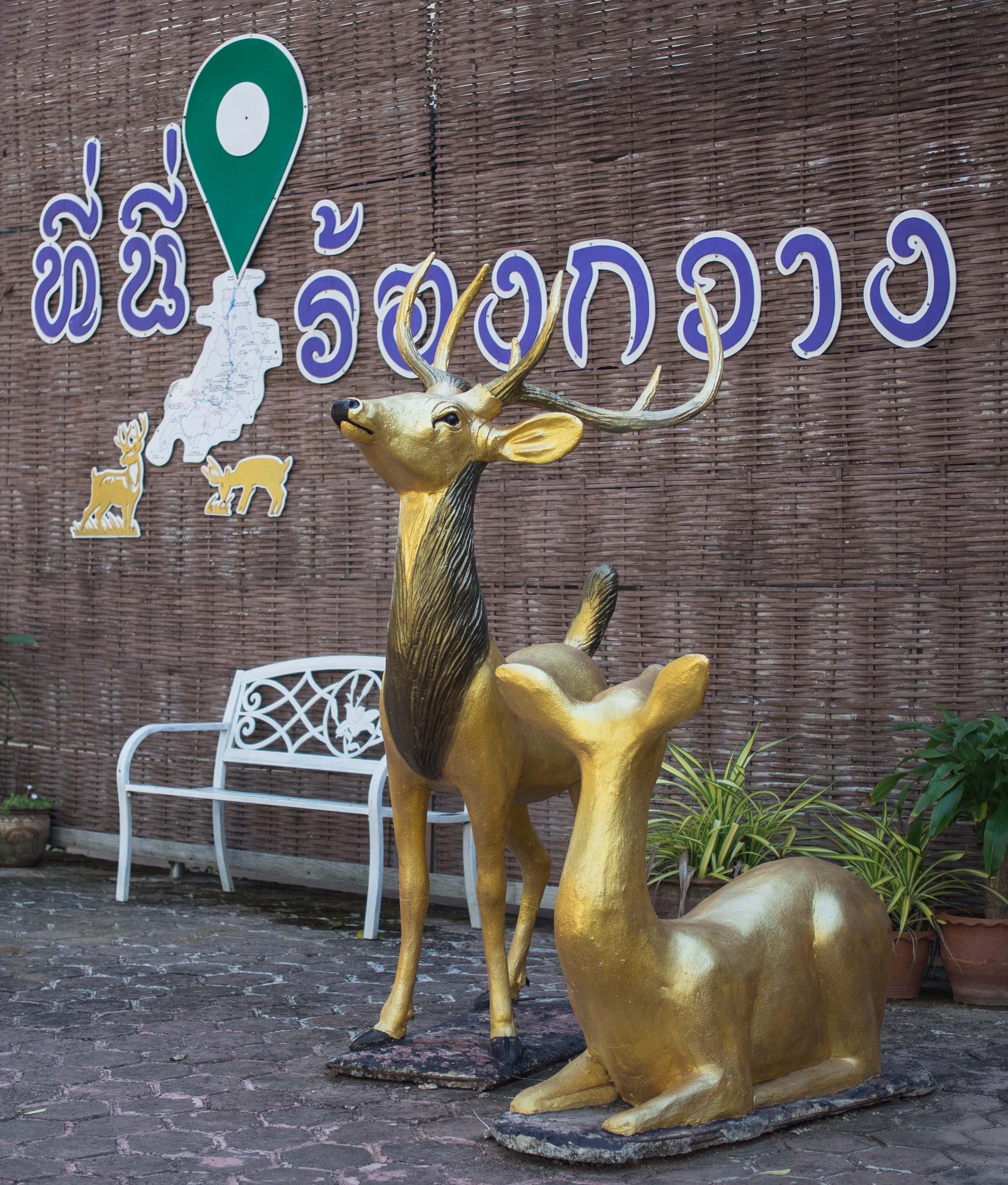 Rong Kwang Town Phrae Province Thailand